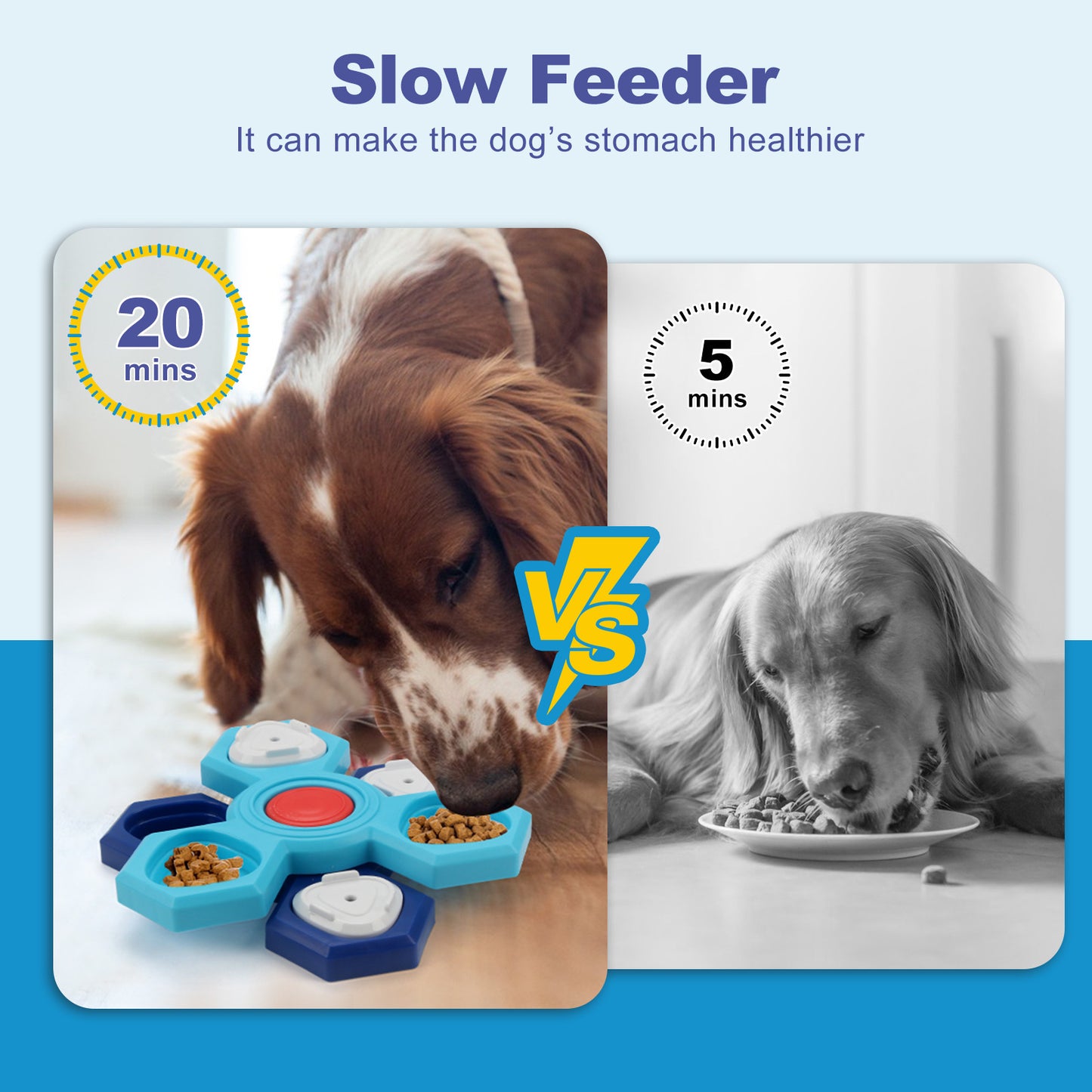 4-Layer Puzzle Slow Feeder for Dogs | Petora