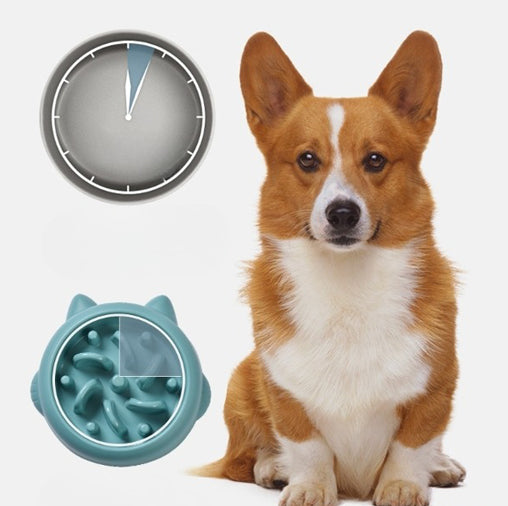 Classic Slow Feeder Bowl for Dogs | Petora