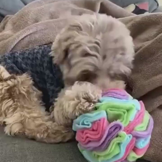 Dog Sniffing Training Blanket Snuffle Ball Mat Det